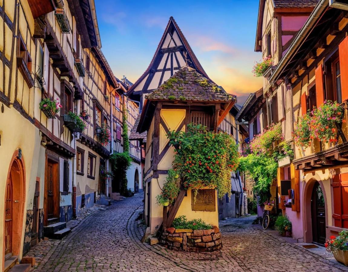 B&B Chez L'Habitant Chambre Privative Sur La Route Des Vins Tv Parking Box Velo Issenheim Exterior photo